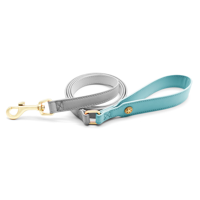 Star Stud Aqua & Grey Lead