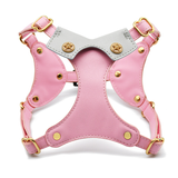Blush & Dove Grey Harness with Gold Studs - Blush
