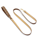 Caramel Check Bandana Lead Walk Set with Bag Holder - Apricot