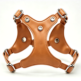 Jewelled Vest Harness & Lead Set in Vegan Leather - view 5