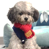 Cable Knit Winter Scarf in Red - Red