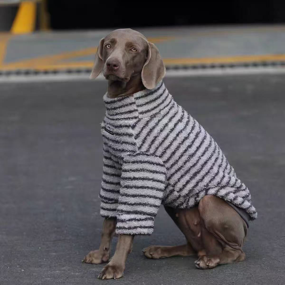 Striped Sweatshirt for Medium to Large Dogs - White