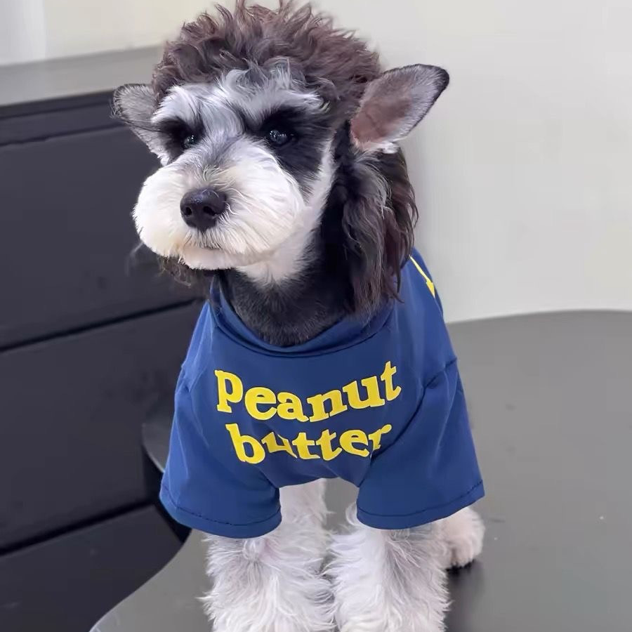 Breathable Coat for Small Dogs - Blue