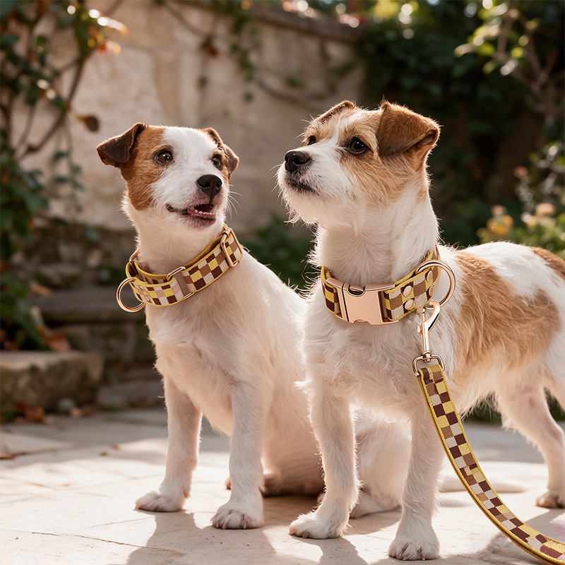 Checkerboard Webbing Collar, Rose-Tone Hardware