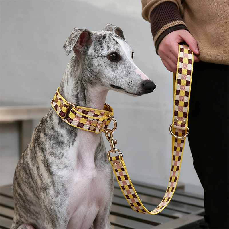 Checkerboard Webbing Lead, Rose-Tone Hardware