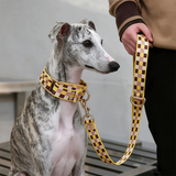 Checkerboard Webbing Lead, Rose-Tone Hardware - view 3