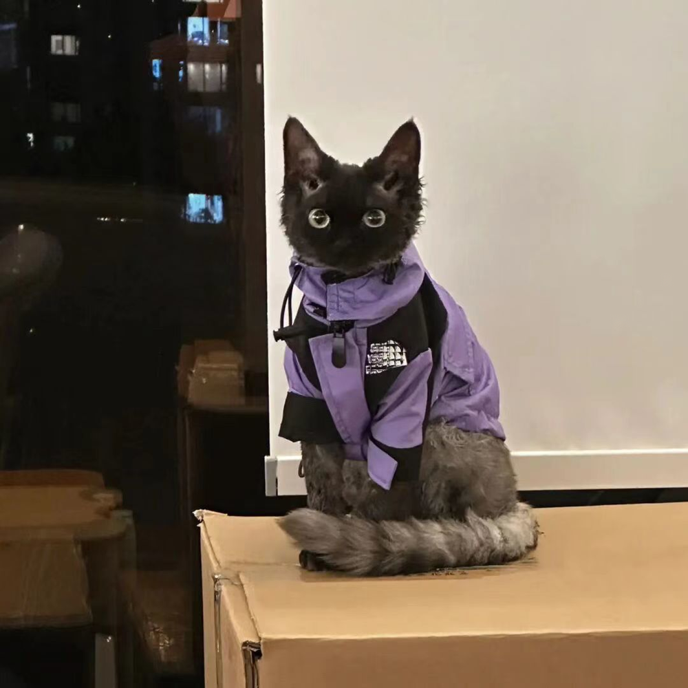 Technical Outdoor Shell Jacket for Small Dogs