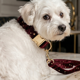 Starry Night Scarlet Red Velvet Collar with Bow Tie & Lead Set - Classic