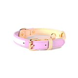 Sorbet Pastel Collar & Lead Set, Genuine Leather - Twilight Purple