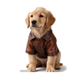Leather Panelled Vintage Coat for Small Dogs - view 1