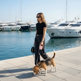 Classic Retractable Leash - 5M Reach