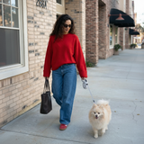 Classic Retractable Leash - 5M Reach
