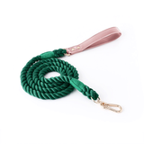 Pastel Rainbow Hand-Braided Rope Lead - Forest
