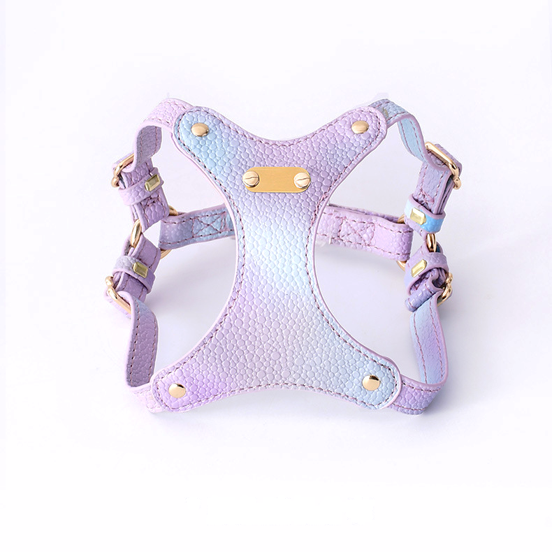 Vivid Purple Harness & Lead Set for Small Dogs - Vivid Purple