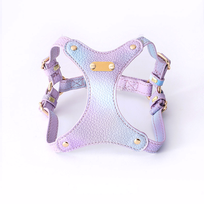 Vivid Purple Cat Harness & Lead Set for Small Dogs