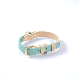 Pastel Colour-Block Collar in Genuine Leather - Mint