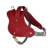 Woven Stripe & Tan Panel Harness - Red