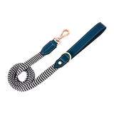 Woven Stripe & Tan Panel Lead - Blue
