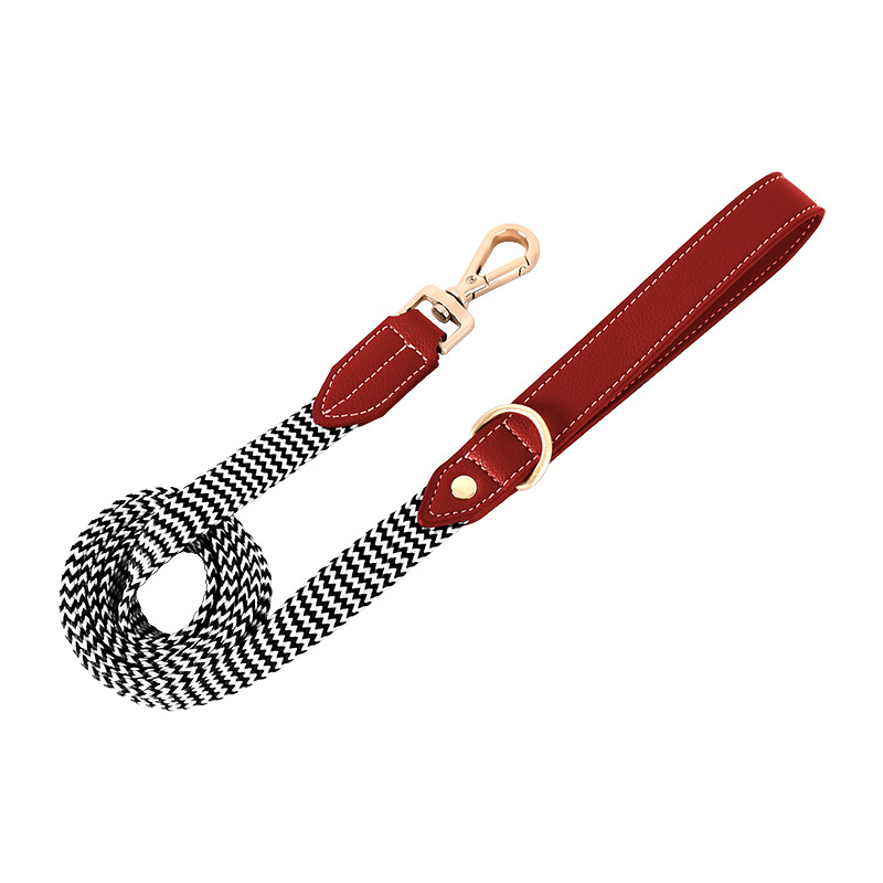 Woven Stripe & Tan Panel Lead - Red