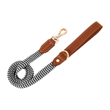 Woven Stripe & Tan Panel Lead - Tan