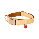 Brights Collar - Apricot