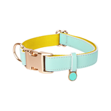 Brights Collar - Green