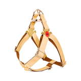 Brights Harness - Apricot