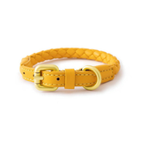 Leather Collar in Earth Tones for Medium to Large Dogs - Yellow