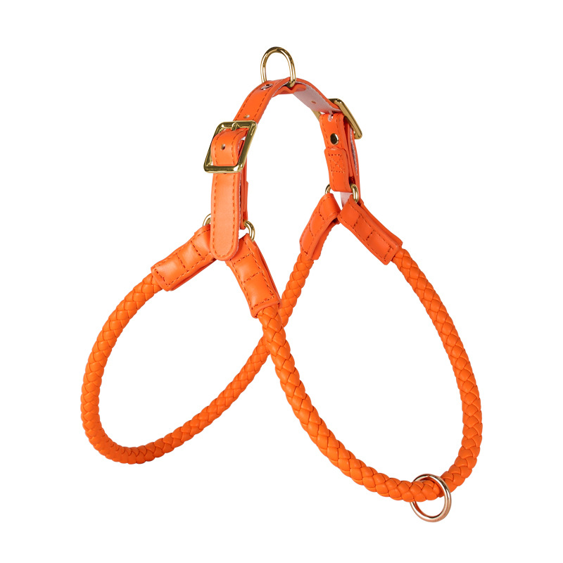 Leather Harness in Earth Tones for Medium to Large Dogs