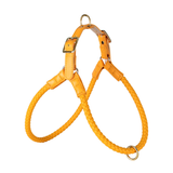 Leather Harness in Earth Tones for Medium to Large Dogs - Yellow