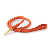 Leather Lead in Earth Tones for Medium to Large Dogs - Orange