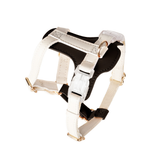Leather Harness in Apricot for Small Dogs - Black