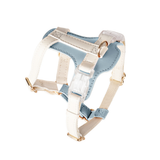 Leather Harness in Apricot for Small Dogs - Blue