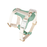 Leather Harness in Apricot for Small Dogs - Green
