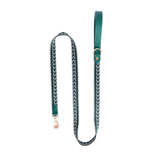 Earth Tones Lead for Medium to Large Dogs - Green