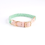 Pastel Knot Collar & Lead Set, Braided Cotton Rope - Fresh Green