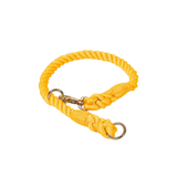 Sunset Gradient Rope Slip Collar with Snap Hook - Lemon