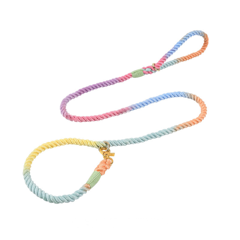 Lilac Ombre Hand-Braided Rope Slip Lead
