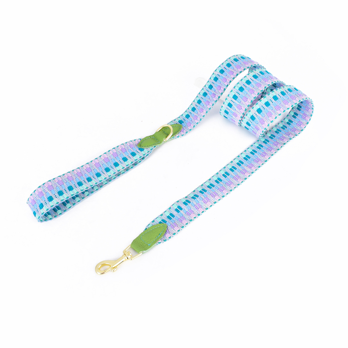 Brights Lead for Small Dogs, 150cm 3.8cm wide