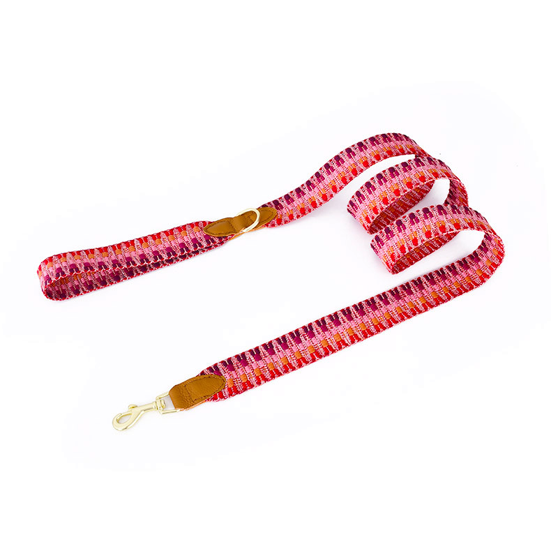 Brights Lead for Small Dogs, 150cm 3.8cm wide