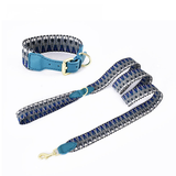 Brights Set for Small Dogs - Blue