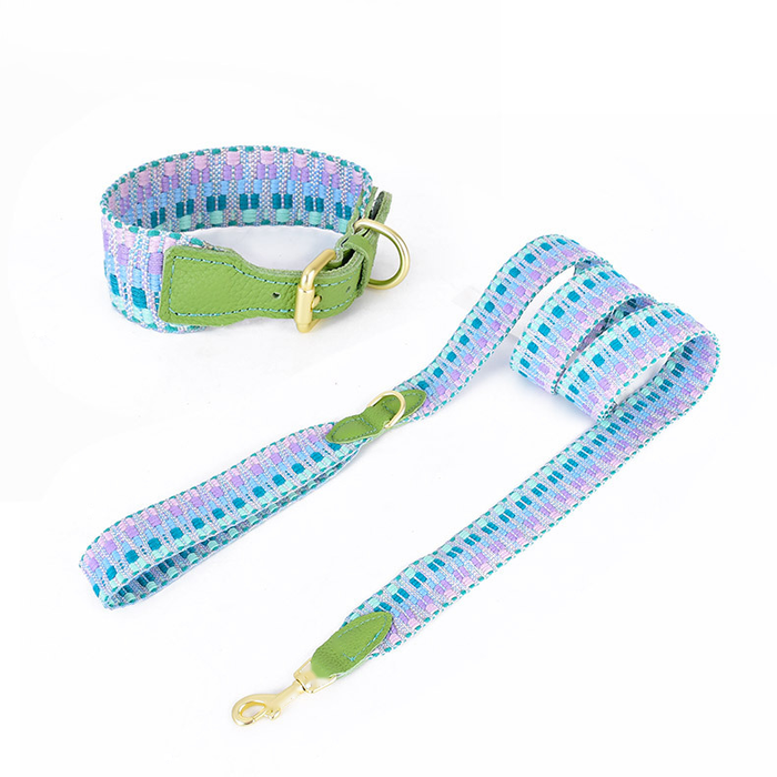 Brights Set for Small Dogs