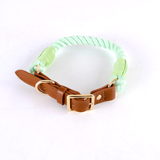 Citrus Ombre Cotton Rope Collar, Brown Trim - Mint