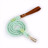 Citrus Ombre Cotton Rope Lead, Brown Trim - Mint
