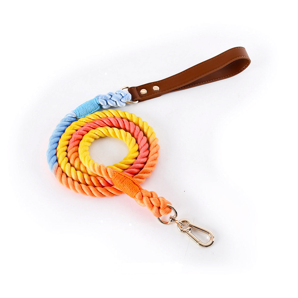 Citrus Ombre Cotton Rope Lead, Brown Trim - Rainbow