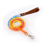 Citrus Ombre Cotton Rope Lead, Brown Trim - Rainbow