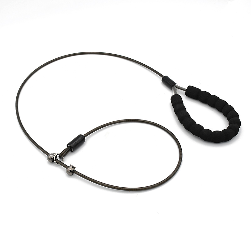 Teal Rope Slip Lead with Padded Handle