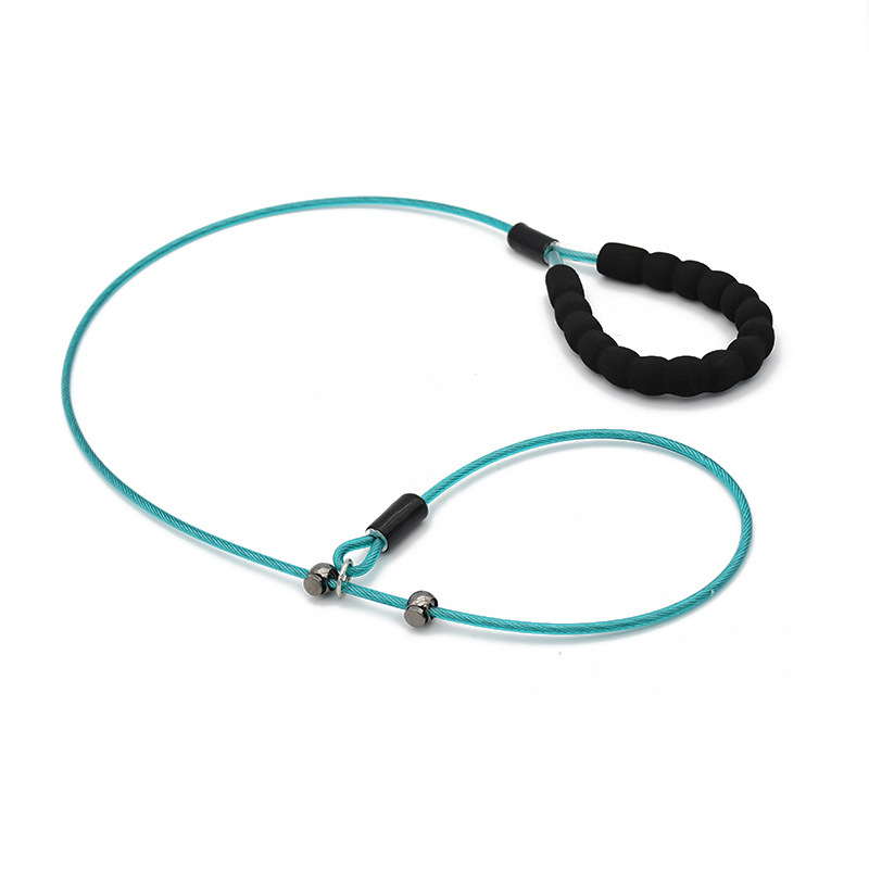 Teal Rope Slip Lead with Padded Handle - Blue