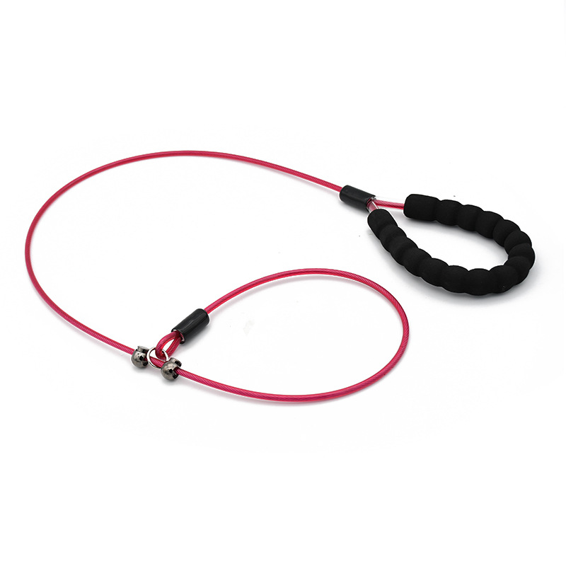 Teal Rope Slip Lead with Padded Handle - Fuchsia