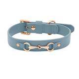 Cherry Red Leather Collar & Multi-Length Lead Set - Blue